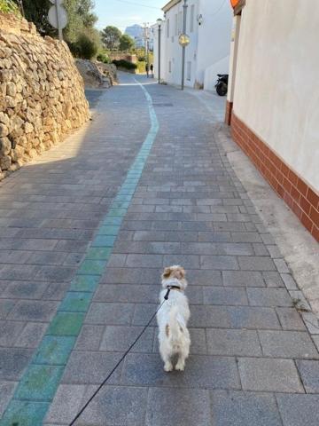 Altea Beachgate - Acceso Privado A La Playa מראה חיצוני תמונה